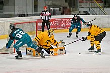 Eishockey, Herren, DEL, Saison 2026-2027, ERC Ingolstadt - HC Verva Litvinov - Steinbach Black Wings Linz, 22.08.2026