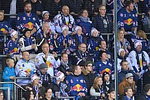 ERC Ingolstadt vs EHC Red Bull Muenchen, Eishockey, DEL, Deutsche Eishockey Liga, Spieltag 32, 26.12.2018