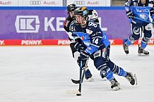 Eishockey, Frauen, DFEL, Saison 2023-2024, ERC Ingolstadt - Amsterdam Tigers, 06.01.2024