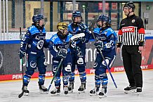 Eishockey, Frauen, DFEL, Saison 2025-2026, ERC Ingolstadt - Eisbären Berlin, 18.01.2026
