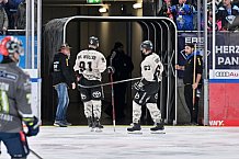 Eishockey, Herren, DEL, Saison 2023-2024, Spieltag 36, ERC Ingolstadt - Kölner Haie, 07.01.2024