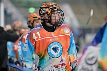 Eishockey, Frauen, DFEL, Saison 2024-2025, ERC Ingolstadt - Mad Dogs Mannheim, 23.11.2024