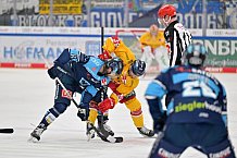 Eishockey, Herren, DEL, Saison 2022-2023, Spieltag 42, ERC Ingolstadt - Düsseldorfer EG, 13.01.2023