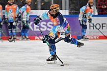 Eishockey, Frauen, DFEL, Saison 2024-2025, ERC Ingolstadt - Eisbären Berlin, 15.02.2025