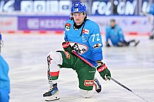 Eishockey, Herren, DEL, Saison 2024-2025, Spieltag 15, ERC Ingolstadt - Augsburger Panther, 03.11.2024