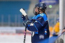Eishockey, Frauen, DFEL, Saison 2025-2026, Testspiel, ERC Ingolstadt - HC Davos, 14.02.2026
