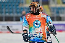 Eishockey, Frauen, DFEL, Vorbereitung, Saison 202-2025, ERC Ingolstadt - St. Pölten, 07.09.2024