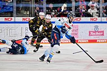 Eishockey, Herren, DEL, Saison 2024-2025, Playoffs Viertelfinale, Spiel 1, Nürnberg Ice Tigers - ERC Ingolstadt, 18.03.2025