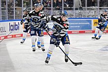 Eishockey, Herren, DEL, Saison 2024-2025, Spieltag 39, Straubing Tigers - ERC Ingolstadt, 24.01.2025