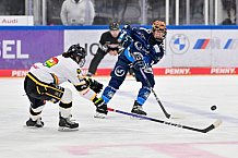 Eishockey, Frauen, DFEL, Vorbereitung, Saison 202-2025, ERC Ingolstadt - St. Pölten, 07.09.2024
