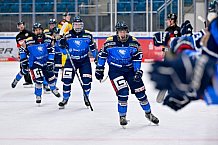 Eishockey, U20, DNL, Saison 2024-2025, ERC Ingolstadt - Krefelder EV 81, 01.03.2025