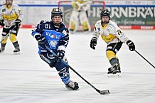 Eishockey, Frauen, DFEL, Saison 2023-2024, ERC Ingolstadt - Mad Dogs Mannheim, 18.02.2024