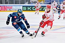 Hockey, Mens, CHL, Season 2025-2026, Regular Season, Game Day 6, ERC Ingolstadt - Odense Bulldogs, 15.10.2025