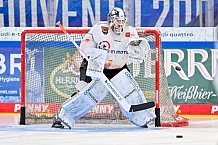 Eishockey, Herren, DEL, Saison 2025-2026, Spiel 33, ERC Ingolstadt - Grizzlys Wolfsburg, 28.12.2025
