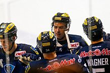 ERC Ingolstadt  - Grizzlys Wolfsburg, Eishockey, DEL, Deutsche Eishockey Liga, Spieltag 42, 31.01.2016