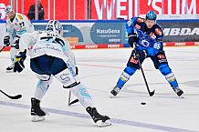 Eishockey, Herren, DEL, Saison 2025-2026, Spiel 23, ERC Ingolstadt - Dresdner Eislöwen, 28.11.2025