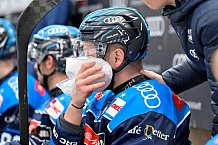 Eishockey, Herren, DEL, Saison 2025-2026, Spiel 33, ERC Ingolstadt - Grizzlys Wolfsburg, 28.12.2025