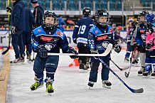 Eishockey, Saison 2025-2026, ERC Ingolstadt - Kids On Ice Day, 10.01.2026