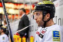 ERC Ingolstadt vs Hamburg Freezers, Eishockey, DEL, Deutsche Eishockey Liga, Spieltag 43, 05.02.2016, 
