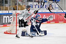 Eishockey, Herren, DEL, Saison 2024-2025, Playoffs Halbfinale, Spiel 5, ERC Ingolstadt - Kölner Haie, 11.04.2025