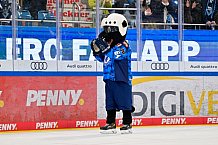 Eishockey, Herren, DEL, Saison 2025-2026, Spiel 26, ERC Ingolstadt - Schwenninger Wild Wings, 07.12.2025