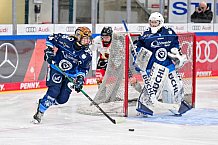 Eishockey, Frauen, DFEL, Saison 2024-2025, ERC Ingolstadt - EC Bergkamener Bären, 04.01.2025