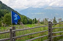 Eishockey, Herren, DEL, Saison 2023-2024, Vinschgau Cup, ERC Ingolstadt – Audi Almerlebnis, 26.08.2023
