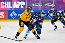 Hockey, Mens, CHL, Season 2025-2026, Regular Season, Game Day 2, ERC Ingolstadt - Kalpa Kuopio, 30.08.2025