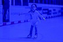 Eishockey, Herren, DEL, Saison 2024-2025, Spieltag 17, ERC Ingolstadt - Adler Mannheim, 17.11.2024