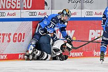 Eishockey, Frauen, DFEL, Saison 2023-2024, ERC Ingolstadt - Amsterdam Tigers, 06.01.2024