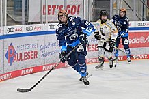 Eishockey, Frauen, DFEL, Saison 2024-2025, ERC Ingolstadt - Mad Dogs Mannheim, 23.11.2024