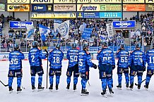 Eishockey, Herren, DEL, Saison 2025-2026, Spiel 16, ERC Ingolstadt - Kölner Haie, 31.10.2025