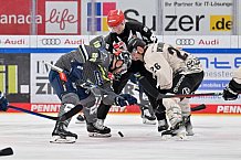 Eishockey, Herren, DEL, Saison 2023-2024, Spieltag 36, ERC Ingolstadt - Kölner Haie, 07.01.2024