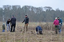 Eishockey, Herren, DEL, Saison 2023-2024, ERC Ingolstadt - Baumpflanzaktion, 02.03.2024