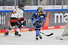 Eishockey, Frauen, DFEL, Saison 2023-2024, ERC Ingolstadt - EC Bergkamener Bären, 28.10.2023
