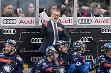Eishockey, Herren, DEL, Saison 2024-2025, Spieltag 38, ERC Ingolstadt - Nürnberg Ice Tigers, 19.01.2025