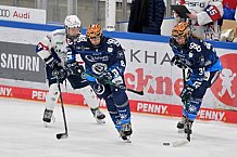Eishockey, Frauen, DFEL, Saison 2024-2025, ERC Ingolstadt - Eisbären Berlin, 15.02.2025
