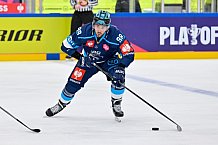 Hockey, Mens, CHL, Season 2025-2026, Regular Season, Round of 16, ERC Ingolstadt - EC Red Bull Salzburg, 12.11.2025