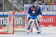 Eishockey, Herren, DEL, Saison 2024-2025, Spieltag 32, ERC Ingolstadt - Adler Mannheim, 30.12.2024