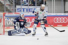 Eishockey, Herren, DEL, Saison 2024-2025, Spieltag 45, ERC Ingolstadt - Iserlohn Roosters, 16.02.2025