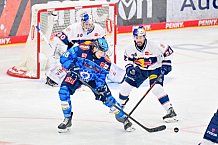Eishockey, Herren, DEL, Saison 2025-2026, Spiel 31, ERC Ingolstadt - EHC Red Bull München, 23.12.2025