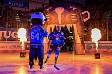 Eishockey, Herren, DEL, Saison 2026-2027, Spieltag 8, ERC Ingolstadt - Löwen Frankfurt, 11.10.2026