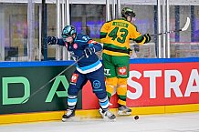 Hockey, Mens, CHL, Season 2025-2026, Regular Season, Game Day 1, ERC Ingolstadt - Ilves Tampere, 28.08.2025