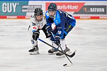 Eishockey, Herren, U20 DNL, Saison 2025-2026, ERC Ingolstadt - ESC Dresden, 14.02.2026