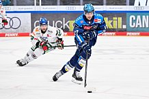 Eishockey, Herren, DEL, Saison 2025-2026, Spiel 51, ERC Ingolstadt - Augsburger Panther, 13.03.2026