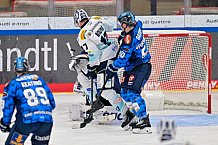 Eishockey, Herren, DEL, Saison 2025-2026, Spiel 23, ERC Ingolstadt - Dresdner Eislöwen, 28.11.2025