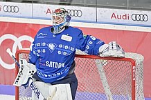 ERC Ingolstadt gegen Grizzlys Wolfsburg Pinguine am 21.12.2018, Spieltag 30