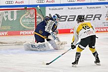 Eishockey, Frauen, DFEL, Saison 2022-2023, ERC Ingolstadt - Mad Dogs Mannheim, 20.11.2022