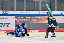 Eishockey, Saison 2025-2026, ERC Ingolstadt - Kids On Ice Day, 29.11.2025