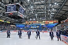 Eishockey, Herren, DEL, Saison 2024-2025, Spieltag 22, ERC Ingolstadt - Düsseldorfer EG, 01.12.2024
